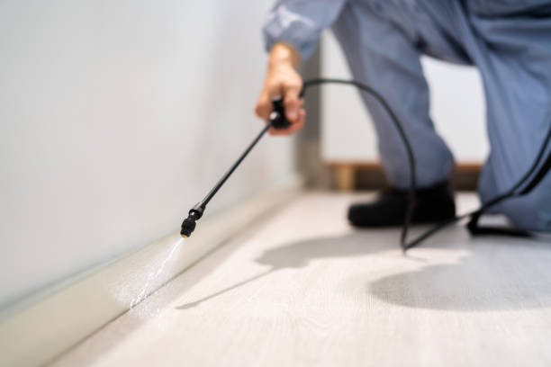 Licensed Rodent Control service in Port Barrington, IL - Nex Pest Control