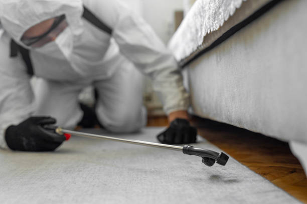 Professional Rodent Control technician working in Port Barrington, IL