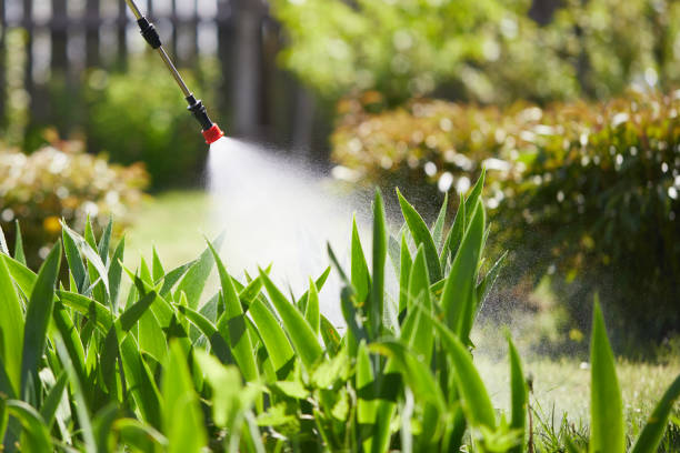 24/7 Emergency Rodent Control experts in Port Barrington, IL