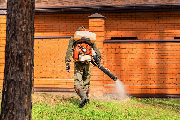 Trusted Bed Bug Control service in Port Barrington, IL - Nex Pest Control